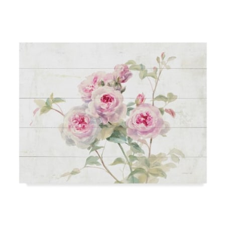 Danhui Nai 'Sweet Roses On Wood' Canvas Art,24x32